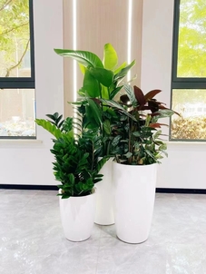 想知道鄞州绿化修剪哪家好？答案就在这里